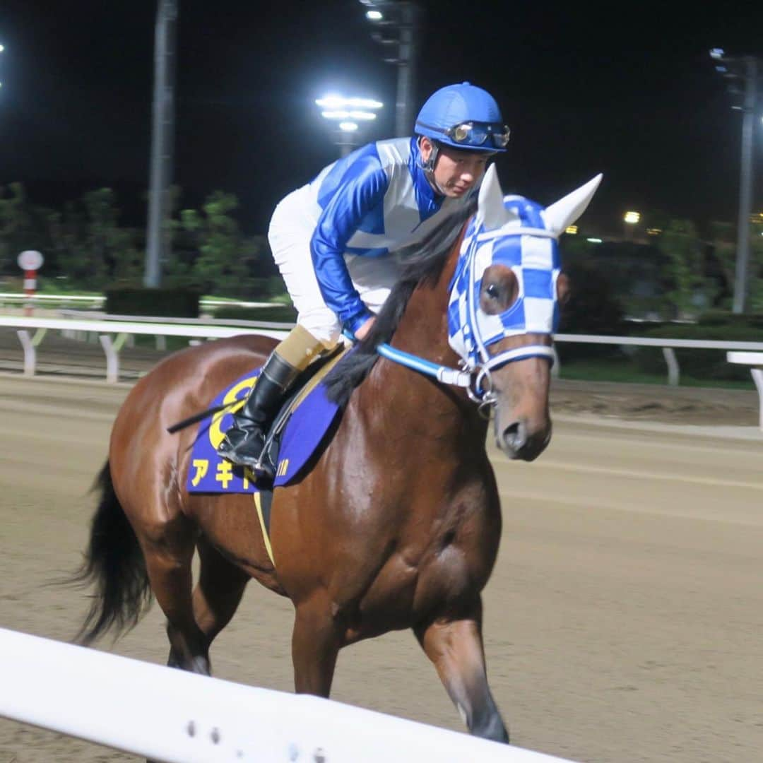 津田麻莉奈さんのインスタグラム写真 - (津田麻莉奈Instagram)「第65回東京ダービー 🏇💨✨ 勝ったのはヒカリオーソ山崎誠士騎手‼️ ダービーでは2着だった父フリオーソ。 その雪辱を、産駒のヒカリオーソが果たしました✨ 関係者の皆さま、おめでとうございます👏 ⁑ そして。落馬事故でお怪我をされている騎手の皆様が、一日も早く回復されますように。 ⁑ ⁑ #第65回東京ダービー #東京ダービー  #ヒカリオーソ #フリオーソ #フリオーソ産駒 #山崎誠士 騎手 #地方競馬ダービーシリーズ #競馬 #地方競馬 #アギト #トゥザグローリー産駒 #大井競馬 #大井競馬場 #tck2019 #東京シティ競馬 #まりなる #津田麻莉奈」6月5日 21時38分 - tsudamarinal