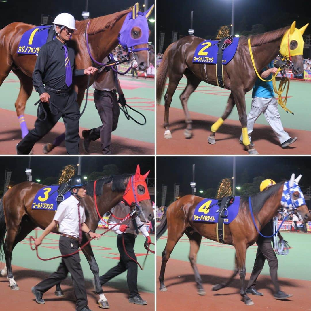 津田麻莉奈さんのインスタグラム写真 - (津田麻莉奈Instagram)「第65回東京ダービー 🏇💨✨ 勝ったのはヒカリオーソ山崎誠士騎手‼️ ダービーでは2着だった父フリオーソ。 その雪辱を、産駒のヒカリオーソが果たしました✨ 関係者の皆さま、おめでとうございます👏 ⁑ そして。落馬事故でお怪我をされている騎手の皆様が、一日も早く回復されますように。 ⁑ ⁑ #第65回東京ダービー #東京ダービー  #ヒカリオーソ #フリオーソ #フリオーソ産駒 #山崎誠士 騎手 #地方競馬ダービーシリーズ #競馬 #地方競馬 #アギト #トゥザグローリー産駒 #大井競馬 #大井競馬場 #tck2019 #東京シティ競馬 #まりなる #津田麻莉奈」6月5日 21時38分 - tsudamarinal