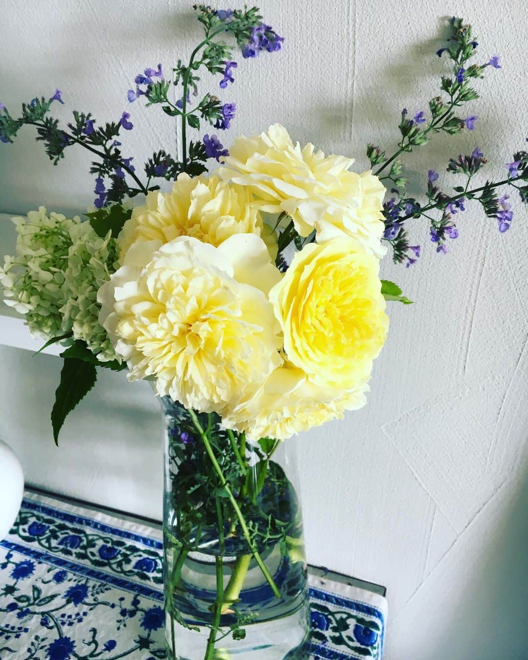 SHANTIさんのインスタグラム写真 - (SHANTIInstagram)「My dear friend gifted me a rose to plant in my garden. Last year there was only one rose on the bush. So I worked on making the soil optimal for the rose and this year thirty roses blossomed. There were five roses on this particular branch so I put them in this new vase with some catmint also from my garden. This rose is called “Pilgrim Rose”. I’m grateful for my friend who’s gifted me something that grows every year and makes me feel joyful to get up to. Thank you M.  #yellow #yellowrose #thepilgrimrose #薔薇色の日々 #黄色い薔薇」6月5日 21時58分 - shantimusic