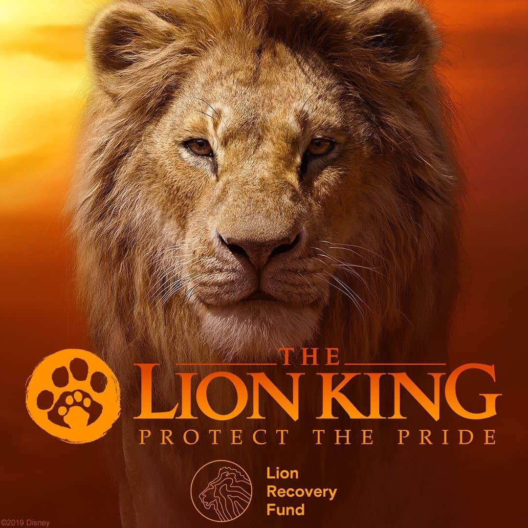 Walt Disney Studiosさんのインスタグラム写真 - (Walt Disney StudiosInstagram)「Just Announced: The Walt Disney Company and Wildlife Conservation Network's Lion Recovery Fund announced #TheLionKing “Protect the Pride” campaign to help double the lion population by 2050. #ProtectThePride」6月5日 22時00分 - disneystudios