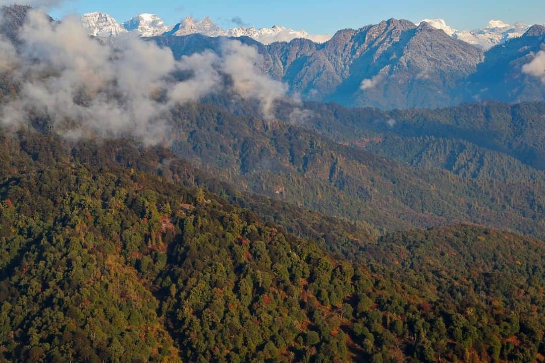 National Geographic Travelさんのインスタグラム写真 - (National Geographic TravelInstagram)「Photo by @christianziegler | A breathtaking view from Dochula Pass, Bhutan. More than 60% of Bhutan is covered in undisturbed tropical forest - here you can see forest extending up to the tree line at almost 5000m with peaks of almost 7000m in the back ground! I feel so lucky to witness landscapes like this, which have stood unchanged for thousands and thousands of years. In our rapidly changing world, true wilderness like this is hard to find, and in the Himalayas it is essential to allow animals to migrate up and down the mountains with the changing seasons to find food and safe breeding grounds. Elsewhere in the Himalayas much natural habitat has been lost inhibiting these annual migrations @insidenatgeo supported me with a grant for this work. #WorldEnvironmentDay #Bhutan #Conservation #Forest  #Himalaya Follow me @christianziegler for more wildlife and nature stories.」6月5日 22時22分 - natgeotravel