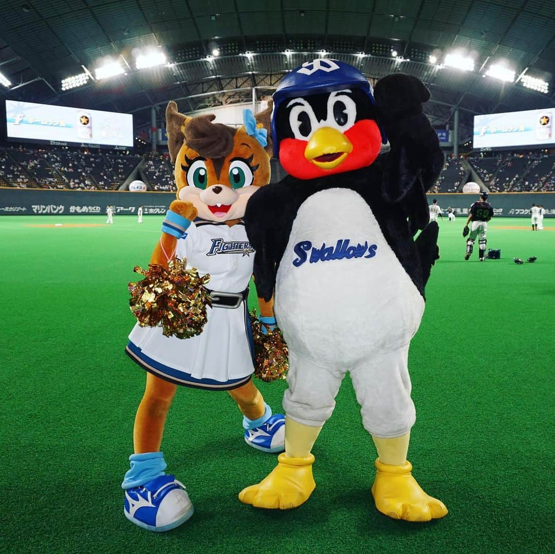 北海道日本ハムファイターズ フレップさんのインスタグラム写真 - (北海道日本ハムファイターズ フレップInstagram)「. マスコット界の珍獣... まちがえた！ 重鎮！！ つば九郎せんせーが札幌ドームに来てくれました💕 ツンデレのツン強めだけど、ほんとは優しいつば九郎せんせー🐧 札幌に来てくれてありがとう❣️ すすきの🍺満喫して帰ってね笑 (イニング間のじゃんけん対決はそんたくしました〜😝) ・ そしてつばみちゃんからのプレゼント💕のキーホルダーで、今回札幌に来られなかったつばみちゃんとツーショット風の映え〜なお写真📷撮ろうと思ったけど、つばみちゃんにピント全部持ってかれちゃった〜🤣🤣🤣（笑） いつかほんとにツーショットが撮れますように💕✨✨✨ ・ 今日はセカくん、パカくん、セパコちゃんにも会えました⭐️ 交流戦中は普段なかなか会えないお友達にたくさん会えるから嬉しいな♫ 明日はスーパー助っ人✨B☆B✨もいるので、みんな明日も一緒に応援よろしくね❣️❣️(代筆ぽりぃ) 🐿 🎀 🐿 🎀 #lovefighters #驀進 #飛び出せ新時代 #ポリーポラリス #つば九郎 #つばみ #そういえばポリーに #やたら男なのって聞いてくる人いるけど #そんなこと聞かれた女の子はみんな傷つくので #やめたほうがいいよ #正真正銘の女の子です🎀 #お転婆だけどね 😛」6月5日 22時20分 - frep_the_fox