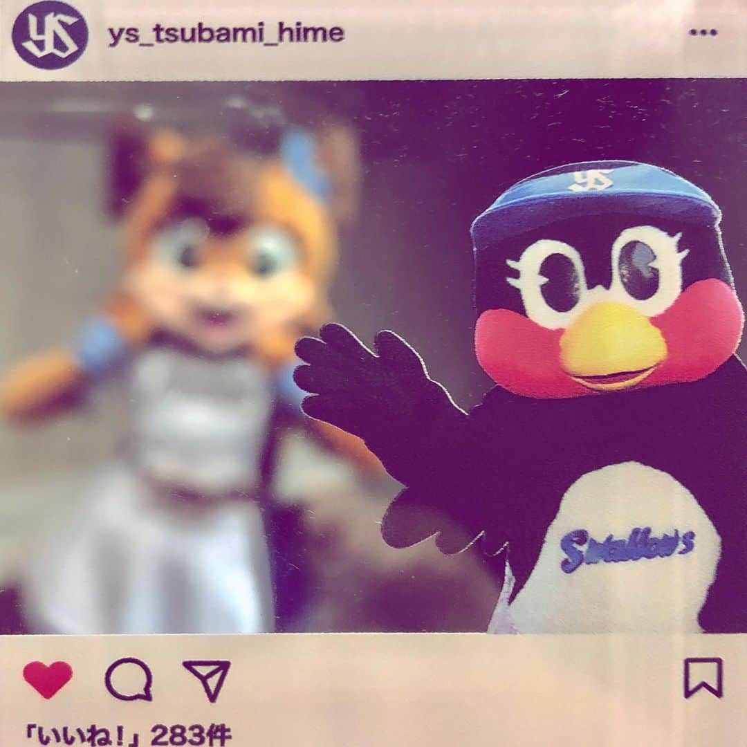 北海道日本ハムファイターズ フレップさんのインスタグラム写真 - (北海道日本ハムファイターズ フレップInstagram)「. マスコット界の珍獣... まちがえた！ 重鎮！！ つば九郎せんせーが札幌ドームに来てくれました💕 ツンデレのツン強めだけど、ほんとは優しいつば九郎せんせー🐧 札幌に来てくれてありがとう❣️ すすきの🍺満喫して帰ってね笑 (イニング間のじゃんけん対決はそんたくしました〜😝) ・ そしてつばみちゃんからのプレゼント💕のキーホルダーで、今回札幌に来られなかったつばみちゃんとツーショット風の映え〜なお写真📷撮ろうと思ったけど、つばみちゃんにピント全部持ってかれちゃった〜🤣🤣🤣（笑） いつかほんとにツーショットが撮れますように💕✨✨✨ ・ 今日はセカくん、パカくん、セパコちゃんにも会えました⭐️ 交流戦中は普段なかなか会えないお友達にたくさん会えるから嬉しいな♫ 明日はスーパー助っ人✨B☆B✨もいるので、みんな明日も一緒に応援よろしくね❣️❣️(代筆ぽりぃ) 🐿 🎀 🐿 🎀 #lovefighters #驀進 #飛び出せ新時代 #ポリーポラリス #つば九郎 #つばみ #そういえばポリーに #やたら男なのって聞いてくる人いるけど #そんなこと聞かれた女の子はみんな傷つくので #やめたほうがいいよ #正真正銘の女の子です🎀 #お転婆だけどね 😛」6月5日 22時20分 - frep_the_fox