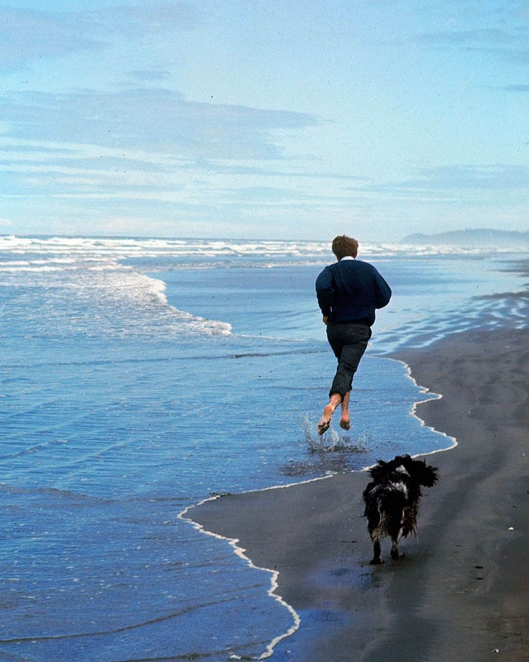 lifeさんのインスタグラム写真 - (lifeInstagram)「LIFE legend Robert F. Kennedy was fatally shot at The Ambassador Hotel after winning the California primary on June 5, 1968, 51 years ago today. he is pictured here just days before his assassination running on an Oregon beach with his dog Freckles. (Bill Eppridge—The LIFE Picture Collection/Getty Images) #LIFElegends #RFK #RobertKennedy」6月5日 22時27分 - life