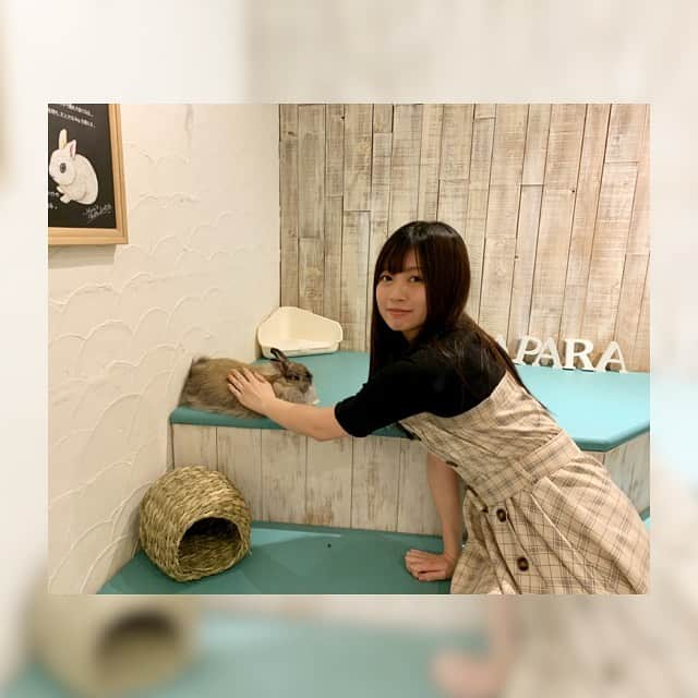 鈴木このみさんのインスタグラム写真 - (鈴木このみInstagram)「友達とうさぎカフェに行ってきました🐰✨ 予想以上のモフモフ…！ ジャンプ力がルーちゃん🐩よりもあった気がする…ビックリ！ 癒された〜(*´∀｀*)」6月5日 23時24分 - konomin_official