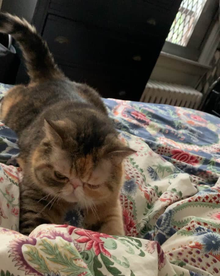 Tinaのインスタグラム：「Woke up like this. Better than an alarm. 🥰」