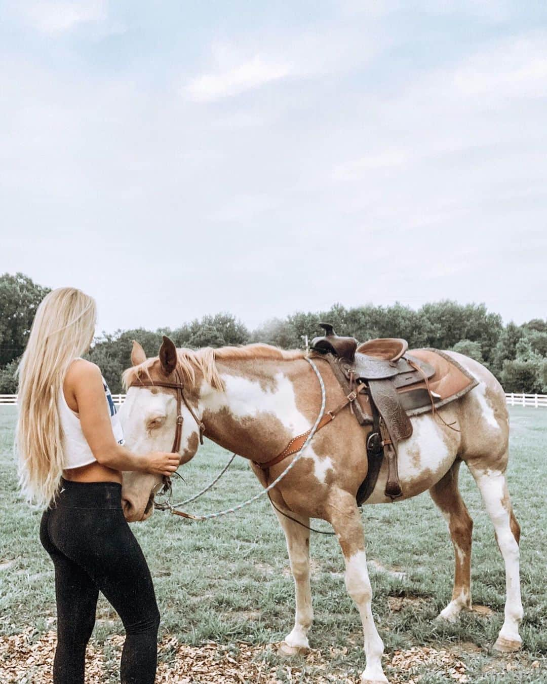 Kindly Myersさんのインスタグラム写真 - (Kindly MyersInstagram)「This old horse is amazing. I can’t believe someone gave him up. Their loss- my gain!」6月6日 0時15分 - kindlymyers