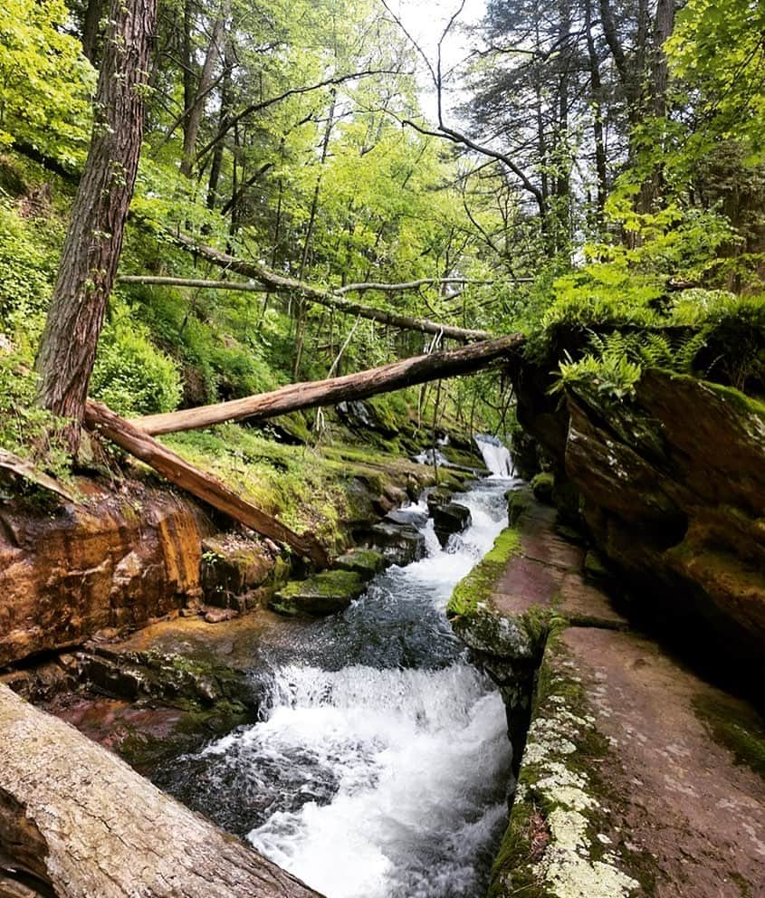 アメリカ内務省さんのインスタグラム写真 - (アメリカ内務省Instagram)「Don’t you love a walk in the woods? #DelawareWaterGap National Recreation Area on the #NewJersey- #Pennsylvania border is a wonderland of forested mountains, tumbling waterfalls, Native American and Colonial historic sites, bountiful wildlife and dynamic rivers and streams. Recreation opportunities include boating, biking, fishing, hunting, #hiking and enjoying the views along scenic roadways. An easy drive from New York City and Philadelphia, the park is a popular year round getaway. Photo @delwatergapnps by National Park Service. #travel #FindYourPark #usinterior」6月6日 0時23分 - usinterior