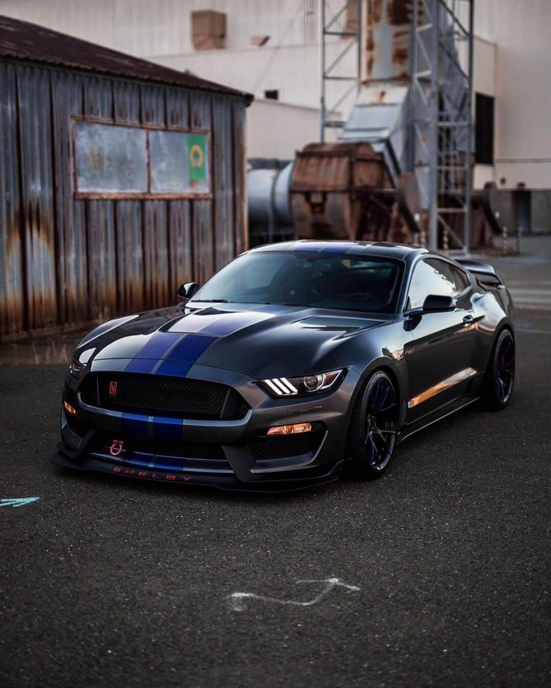 CarsWithoutLimitsさんのインスタグラム写真 - (CarsWithoutLimitsInstagram)「@sheedysgt350’s Clean & Perfect 2016 #GT350.  More photos of this beast is on the owner page  #carswithoutlimits Photo @californiaexoticsdaily」6月6日 0時17分 - carswithoutlimits