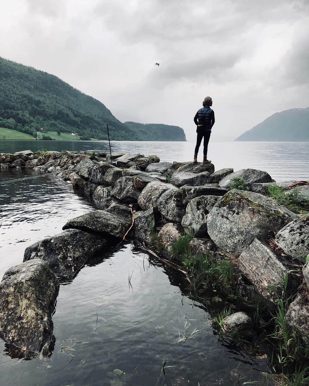 Mustafa Sevenさんのインスタグラム写真 - (Mustafa SevenInstagram)「Dünün fotograflı özeti :) #Hellesylt limanından otobüsle ayrılmanın ardından 6 saatlik bir yolculukla #Geiranger e vardık. Bu arada ne gördüysem dün bir kısmını hikayelerde paylaştım bunlarda post için sakladıklarım. #CruiseHayatı #CruiseLife nedir ne değildir kaçıranlar içinde bütün serüveni ana sayfamda #CruisePlanet adı ile sabitledim. Bi göz atarsınız :) Detaylı bilgi almak isterseniz @cruiseplanet.com.tr ekibi emrinizde :) #LovePeaceTravel #CruisePlanet #CruiseTrip #Norway #Fjord」6月6日 0時50分 - mustafaseven