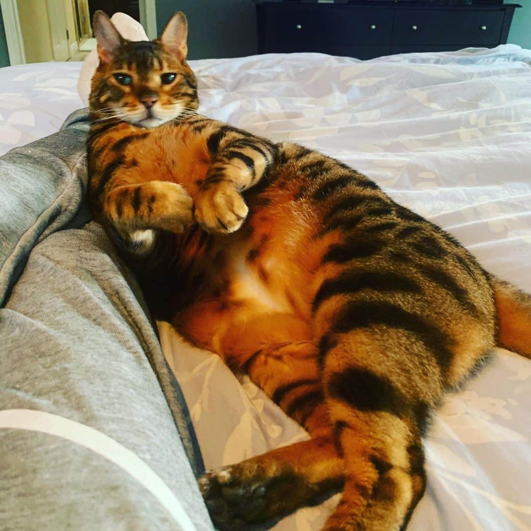 ヘザー・マクドナルドのインスタグラム：「#bodypositive」