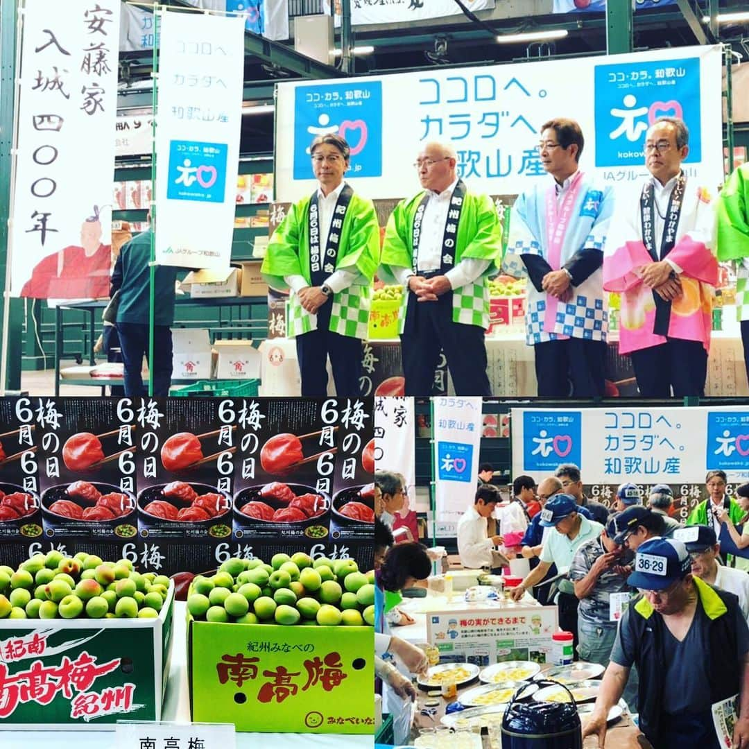 和歌山県食品流通課さんのインスタグラム写真 - (和歌山県食品流通課Instagram)「＼6月6日は梅の日／  東京・大田市場で梅の日トップセールスが始まりました！ JA・市・県が市場関係者に和歌山の梅をPR！ 《豆知識》👀 梅の日は「紀州梅の会」が制定したもの。 天文14年6月6日に賀茂神社例祭で、時の天皇が梅を献上したという故事にちなんでいます。晴天続きで作物が育たなかったとき、梅を奉納して祈るとたちまち大雨が降り五穀豊穣をもたらしたのだとか！  この日は、梅にまつわる様々な講習会やイベントが各地で開催されます☺️ #梅の日#梅しごと#東京#和歌山#トップセールス#わかやま#青梅」6月6日 6時47分 - tasty_healthy_wakayama