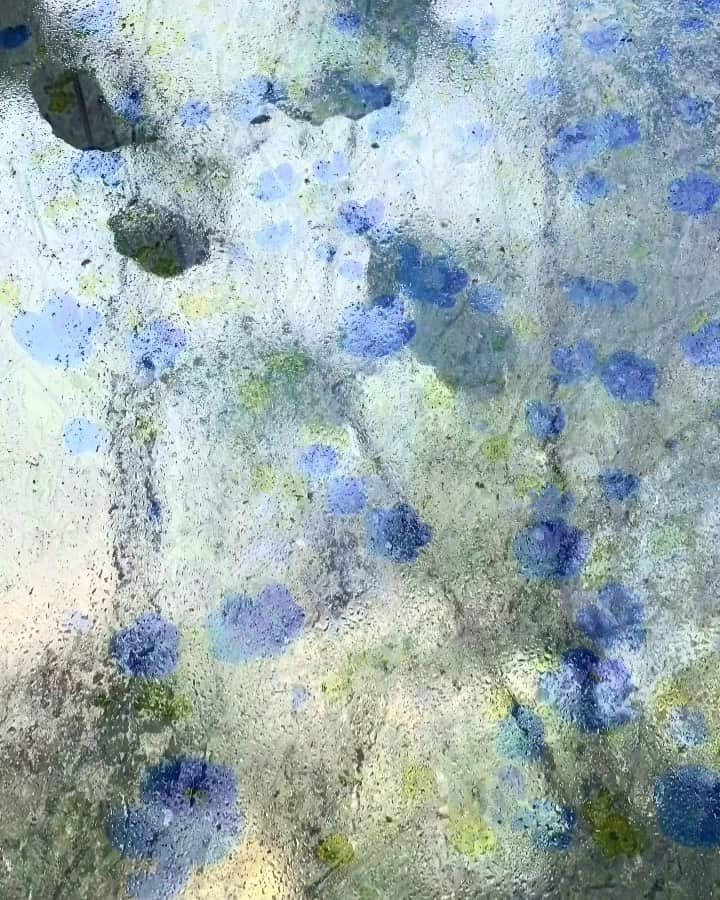 Tea and sittingのインスタグラム：「🌿...( tap for sounds ) I made this moving double exposure a couple of weeks ago but have only just realised what sounds I wanted to go with it! 🔔🎵 #ordinaryinspirations #consciouscreativity #movingtexture #wabisabiwindow #doubleexposurefilm #sensoryexploration」