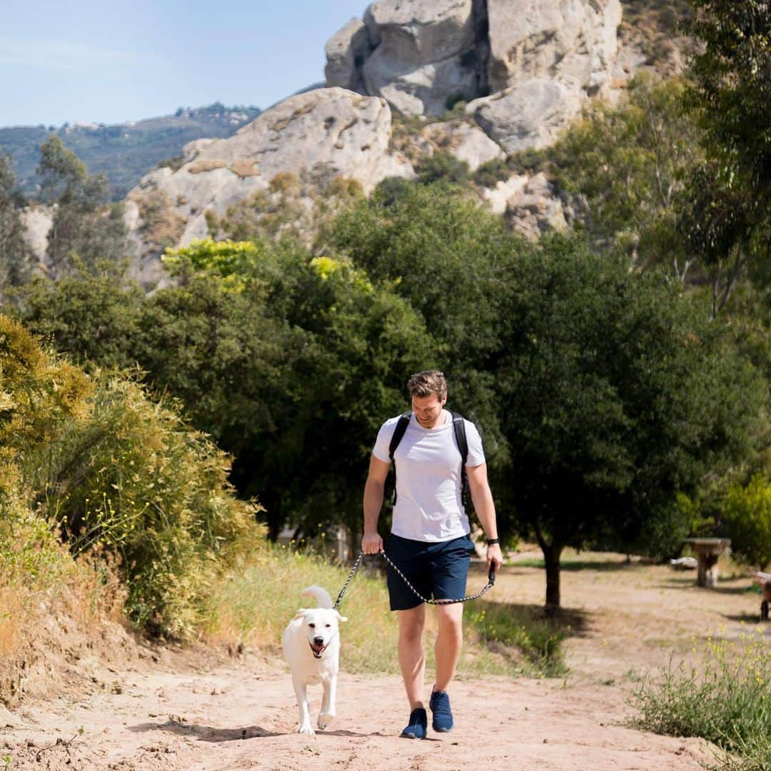 デレック・テラーさんのインスタグラム写真 - (デレック・テラーInstagram)「#ad One of our favorite summer activities is getting outside to enjoy a beautiful hike. @NaturesRecipe Prime Blends dog food helps fuel Neptune to get the top! Have a bag shipped right to your door using @Walmart 2-day shipping and give your dog something you know they’ll love #DoggiesDaysOfSummer #NaturesRecipe #dogsofinstagram http://bit.ly/NaturesRecipe_M_WMT」6月6日 3時39分 - derektheler