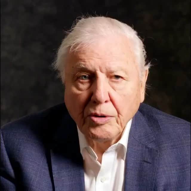 レナ・ヘディのインスタグラム：「Listen up , God is speaking 💚💚💚💚💚💚💚」
