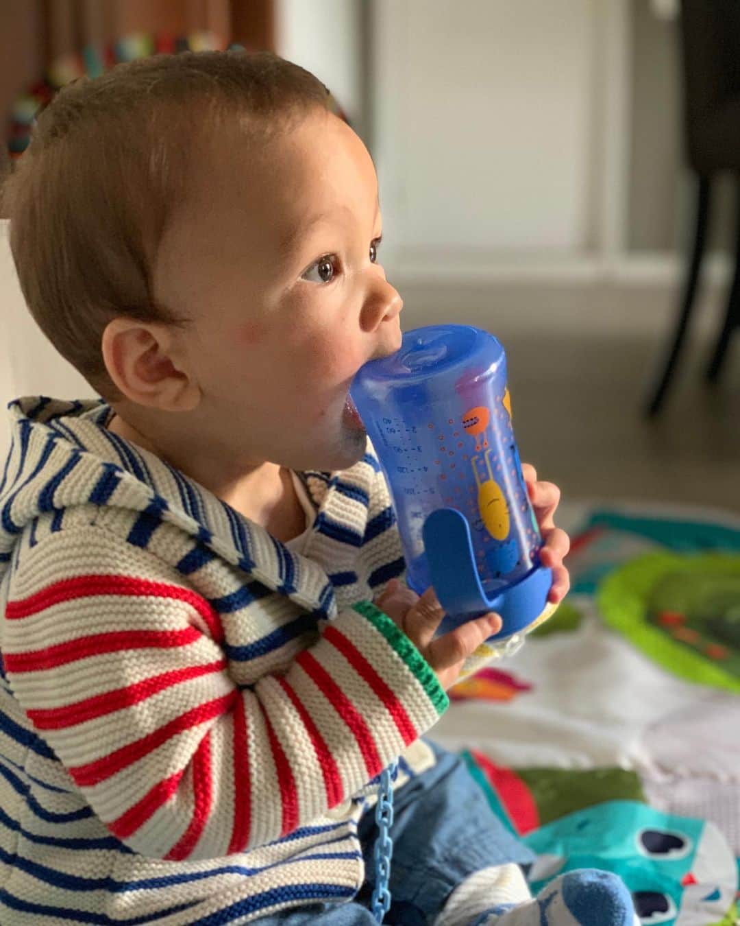 ソフィア・バルビのインスタグラム：「mi bebe! crece y crece! ❤️❤️❤️」