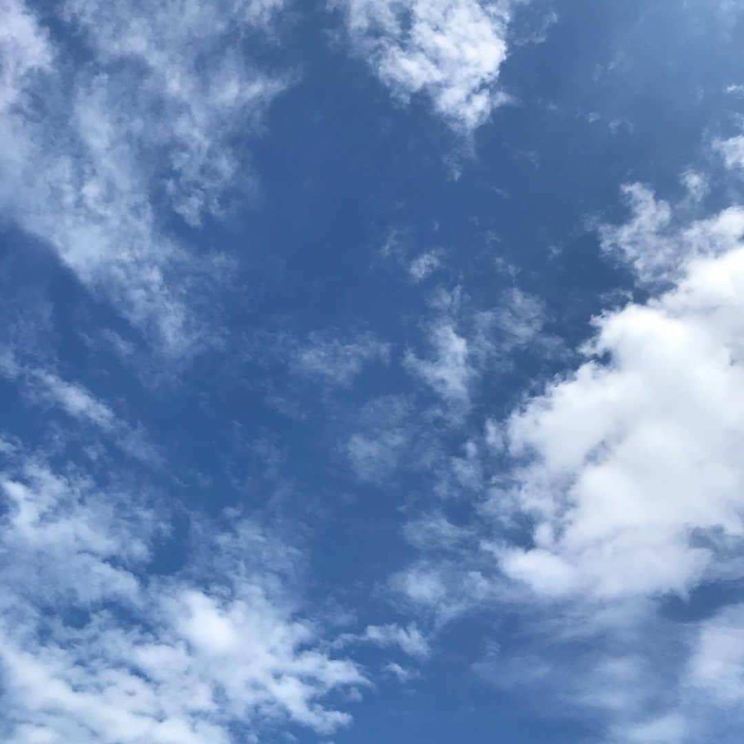 本間大嗣さんのインスタグラム写真 - (本間大嗣Instagram)「こんにちにゃ。 今日の札幌はいい天気になりました。夜雨降るらしいけど。実家の近所をパトロール中のにゃんこ撮れた😁 9日チケットあとわずかです！ご予約お早目によろしく‼️」6月6日 14時24分 - zephyr1100rs