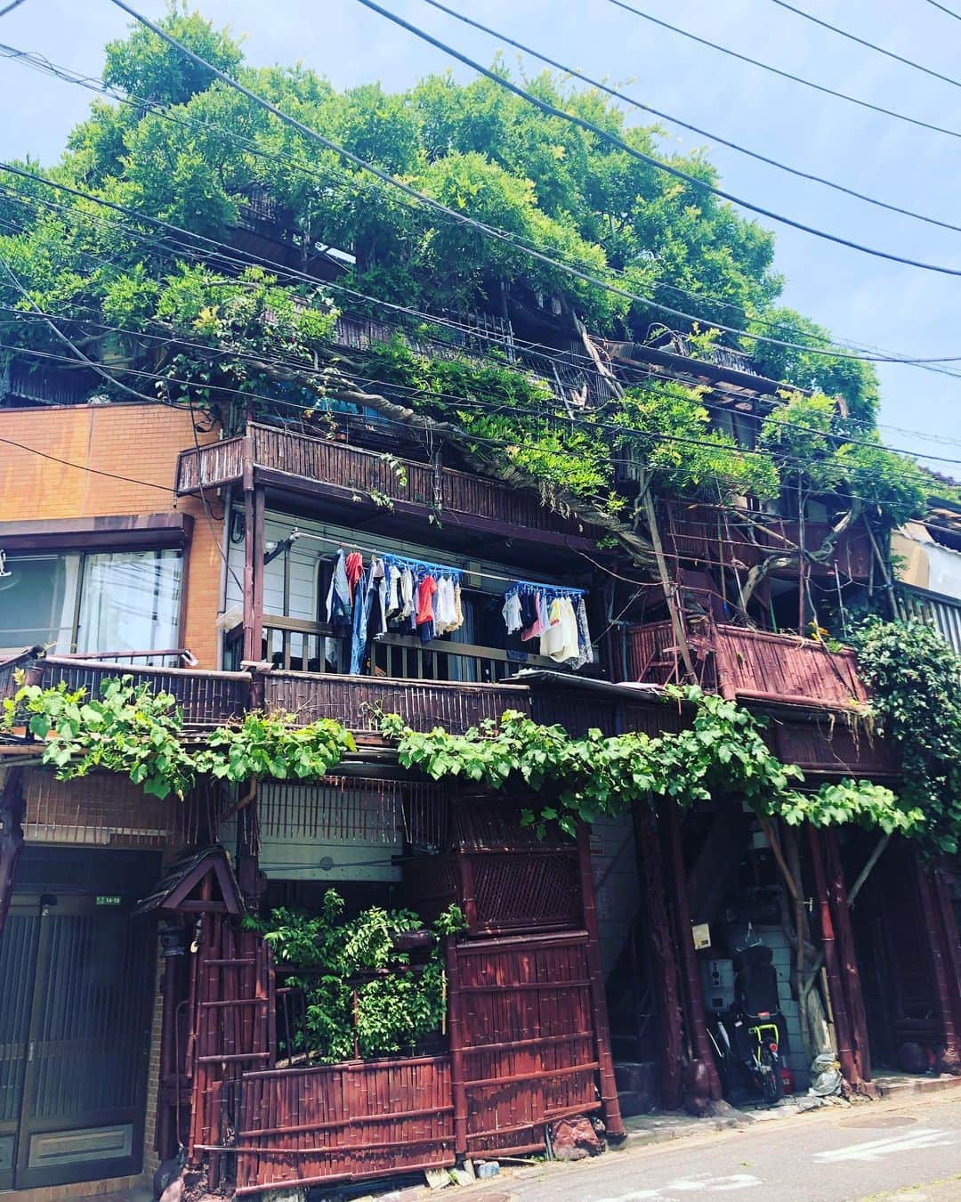 大根仁さんのインスタグラム写真 - (大根仁Instagram)「自宅近所のずっと気になってる家。どういう構造なんだろ？特に上の方。」6月6日 15時36分 - hitoshione