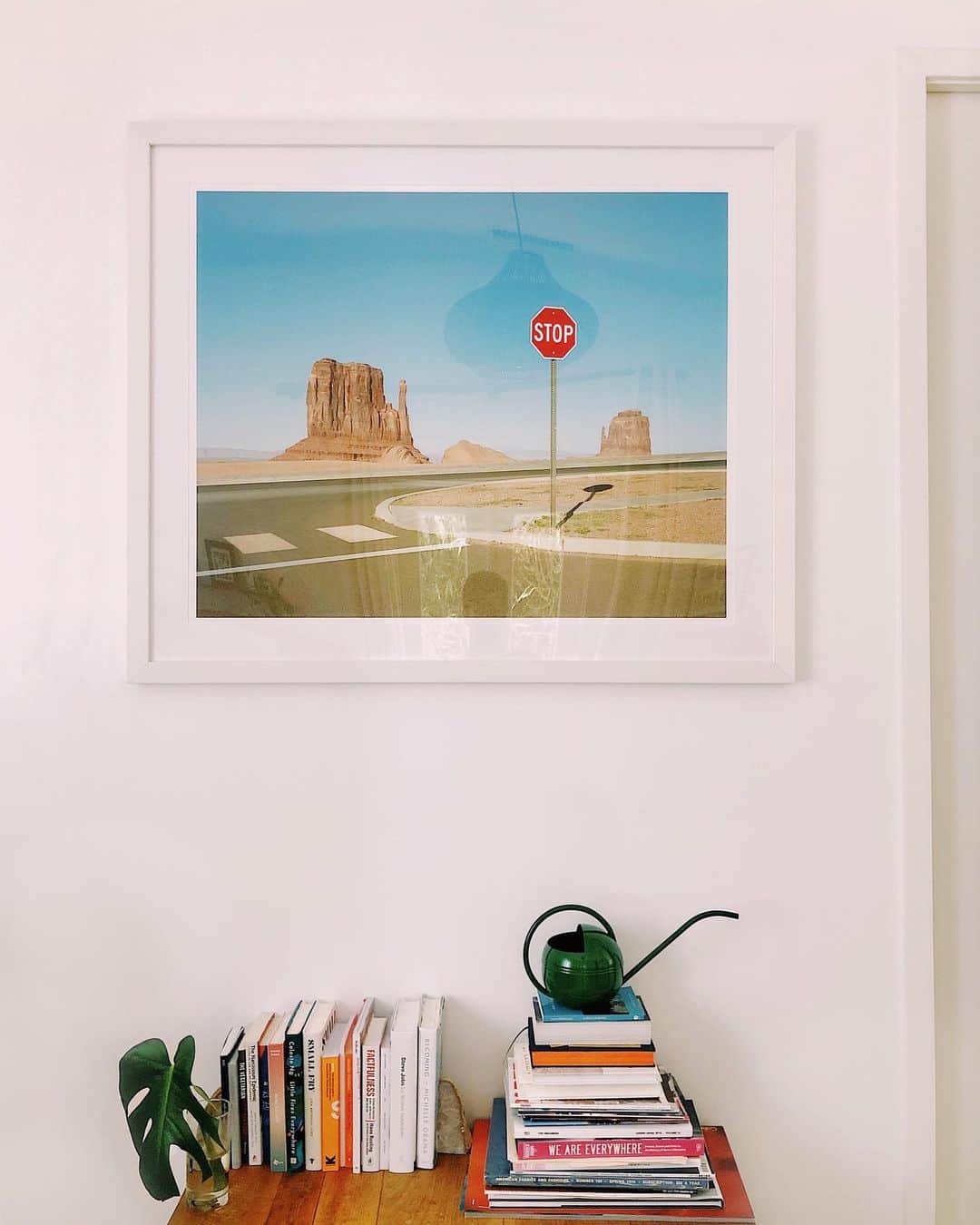 コナー・フランタのインスタグラム：「never enough books, prints & plants」