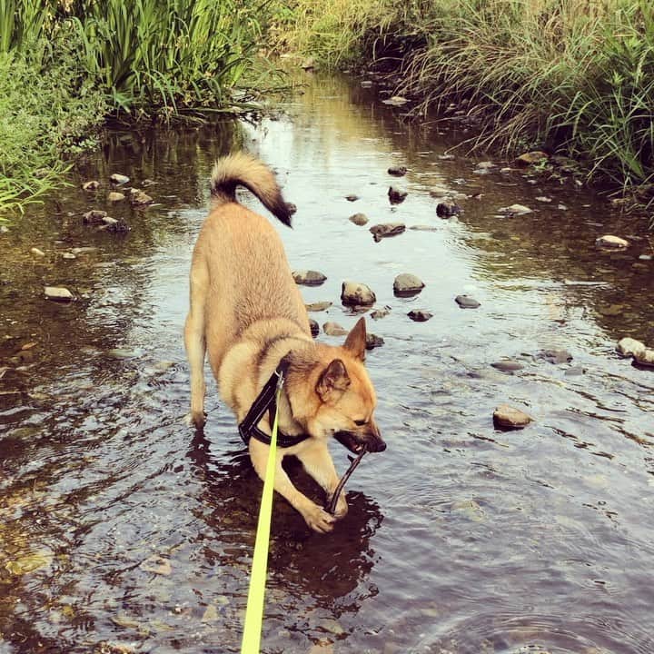 佐々木海のインスタグラム