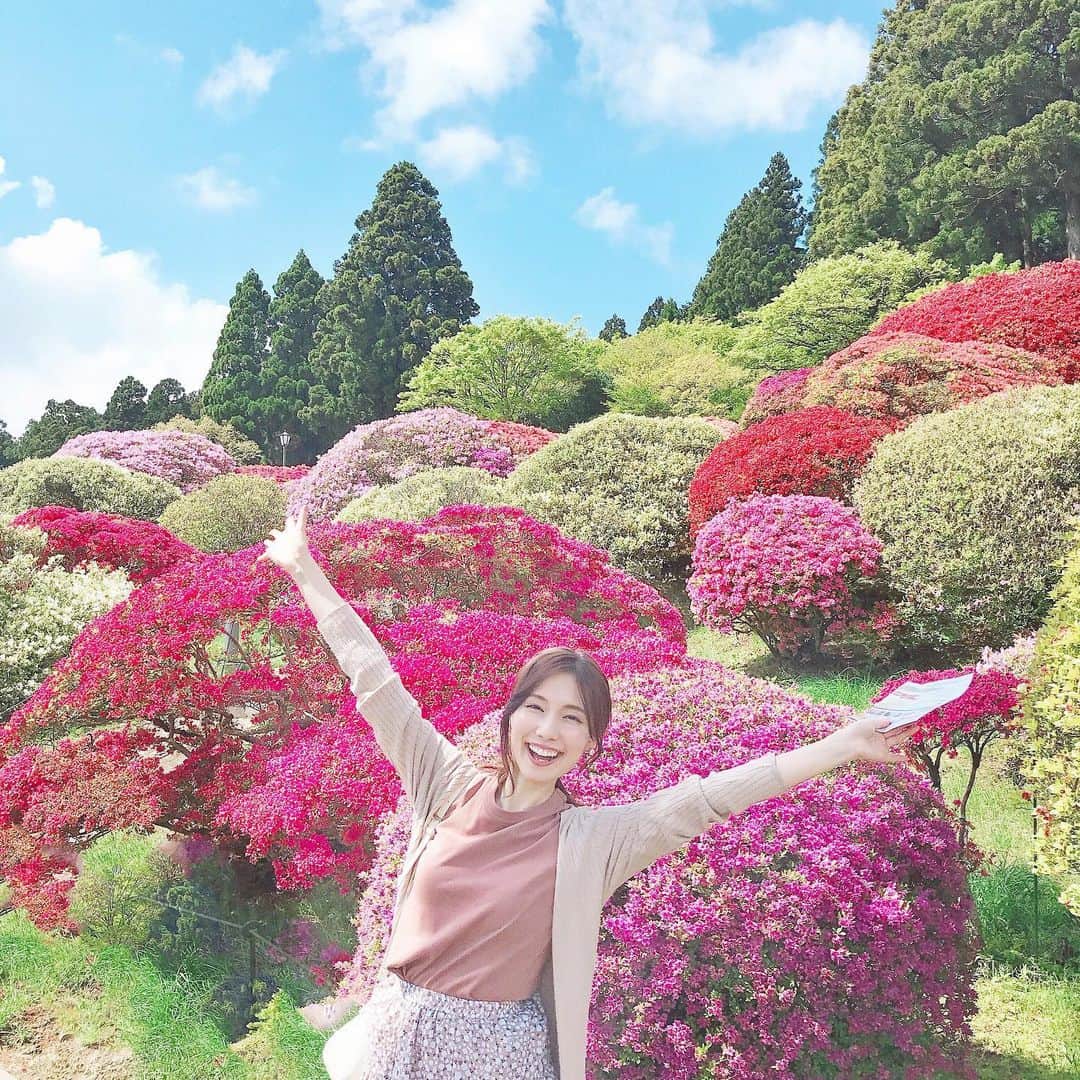 のインスタグラム：「* 山のホテルのつつじまつりへ🌺 まるまるもりもり♬ つつじくんがまるまるぶわーっ！！🌺 なんか合成みたいな写真になったで笑 つつじって 躑躅 ←こんな難しい字書くんか📝」