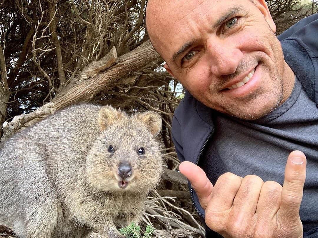 Australiaさんのインスタグラム写真 - (AustraliaInstagram)「Not content with a simple #QuokkaSelfie, @KellySlater gave us the #QuokkaShaka when he visited @rottnestislandwa in @westernaustralia. 🤙🏻 The eleven-time world champion surfer has had some epic wildlife experiences during his visit which included seeing a pod of dolphins drop in on some of the competitors at the @MargaretRiver Pro.  #seeaustralia #justanotherdayinwa」6月6日 8時08分 - australia