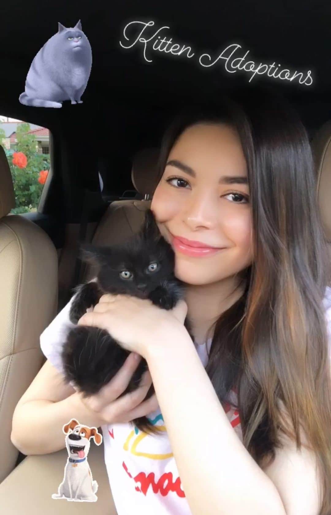 ミランダ・コスグローヴのインスタグラム：「If you live in the LA area and are interested in adopting one or two of these sweet little kittens, you can contact @kittenrescuela 🐱💕」