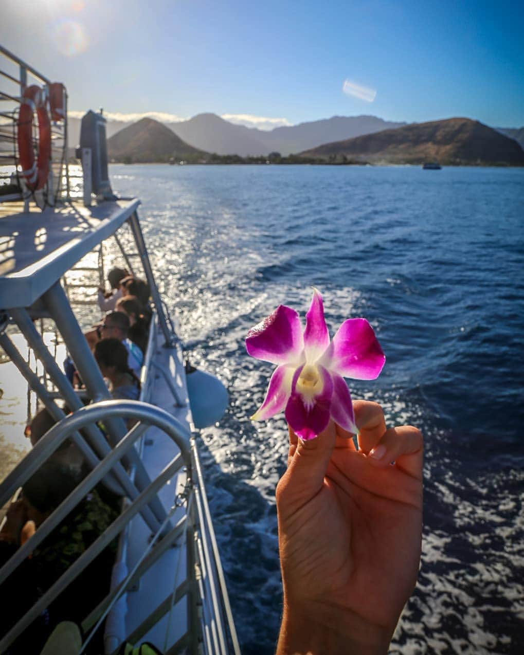 And Youさんのインスタグラム写真 - (And YouInstagram)「“Life is a sea of vibrant color. Jump in.” ― A.D. Posey . . . . . . . . . #dolphins #hawaiivacation #oahu #hawaiistagram #unrealhawaii #oahutours #dolphintour #swimwithdolphins #hawaiiholiday」6月6日 9時35分 - dolphinsandyou