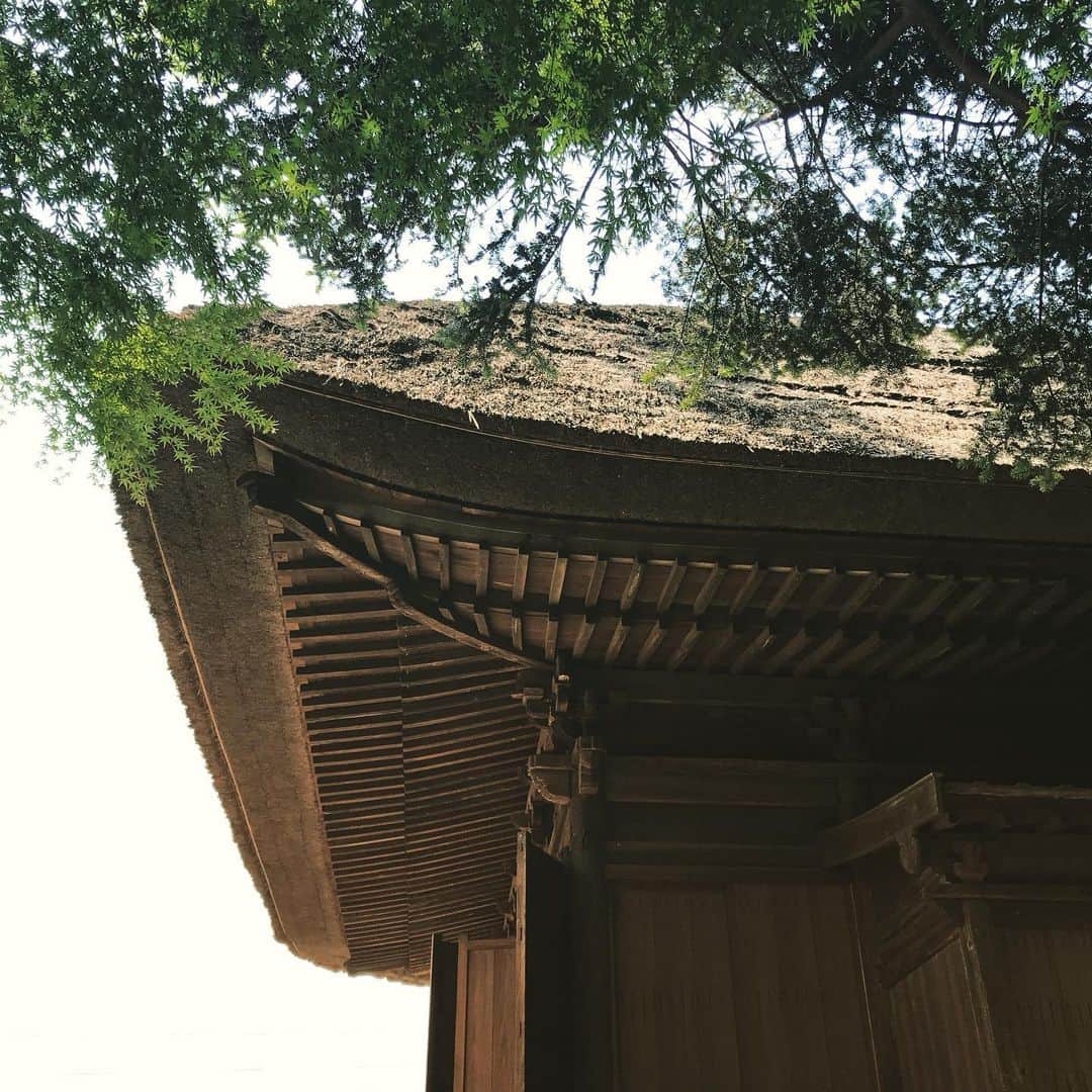 佐野史郎のインスタグラム：「撮影日和🎥🎬」