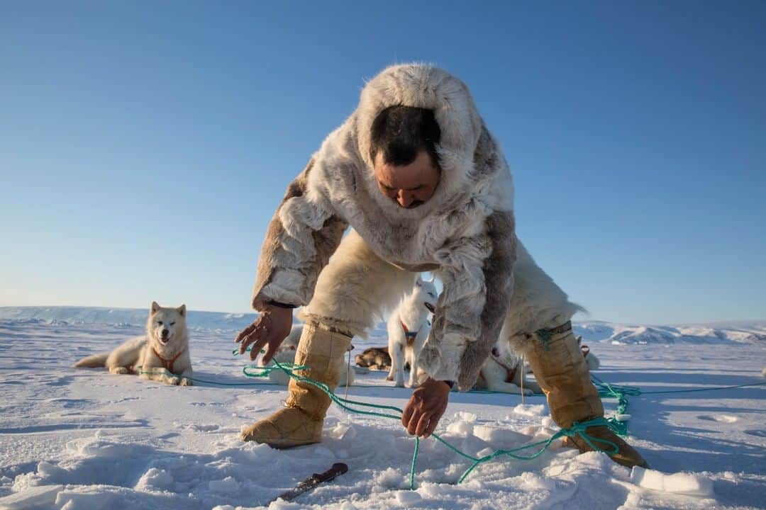 National Geographic Travelさんのインスタグラム写真 - (National Geographic TravelInstagram)「Photo by @CristinaMittermeier | We celebrate World Environment Day every year to raise awareness of environmental issues as they emerge and unfold around us. In Greenland, a declining sled dog population is another, perhaps surprising, example of the impact of climate change in the Arctic. The sled dog has played an invaluable role in the survival of the Inuit peoples who live in the Arctic since well before the dawn of the written word. Sled dogs changed the way that humans moved across the snow and the ice, and the way that they hunted. As sea-ice melts in the North, it becomes harder to hunt, harder to find food for both dogs and humans. I traveled through frigid temperatures with these men and their dogs to try and capture the relationship between them. For sled dogs, the mentality of the pack is strong. They are bold and independent dogs who do not listen to just anyone. They need a powerful leader - someone who feels at much at home in this word of ice and snow as they do.  Follow me @CristinaMittermeier for more photos that call attention to the climate crisis. #WorldEnvironmentDay #FortheLoveofDogs #awareness #snow #arctic」6月6日 10時09分 - natgeotravel