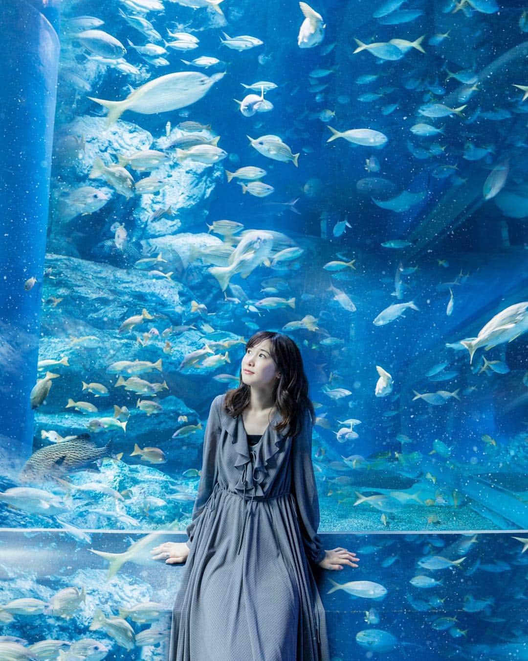 吉田友利恵さんのインスタグラム写真 - (吉田友利恵Instagram)「✩ 水族館は癒される。 ゆらゆらゆらゆらゆら 𓆝𓆟𓆜𓆞𓆝𓆟𓆜𓆞 🎞 @shabon #ゆりえわんぴぃす」6月6日 10時15分 - _yurieyoshida_