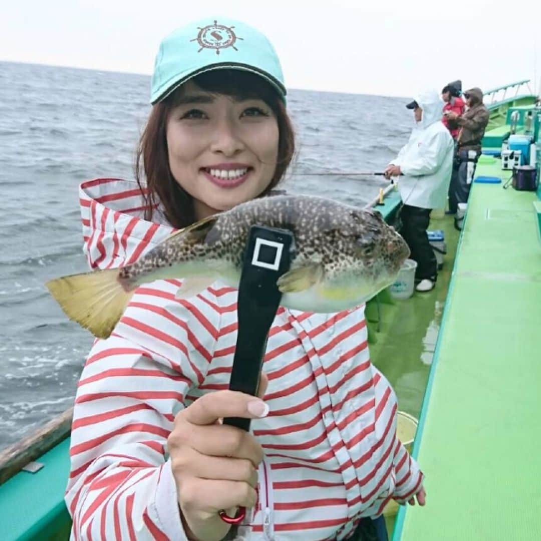 川目梢さんのインスタグラム写真 - (川目梢Instagram)「本日サンスポ掲載 千葉県浦安市『吉野屋』でショウサイフグ釣りだよー🎣  フグってね、冬が旬だと思うでしょ？ トラフグやアカメフグはそうだけど、ショウサイフグは今が旬🌷 白子パーンパンで釣り人を笑顔にさせてます❤️ 痛風の味は最高だーーー  #浦安市 #吉野屋 #フグ #ショウサイフグ #釣り #釣りガール #釣り女子 #釣り好きな人と繋がりたい」6月6日 10時20分 - kozukozu0615