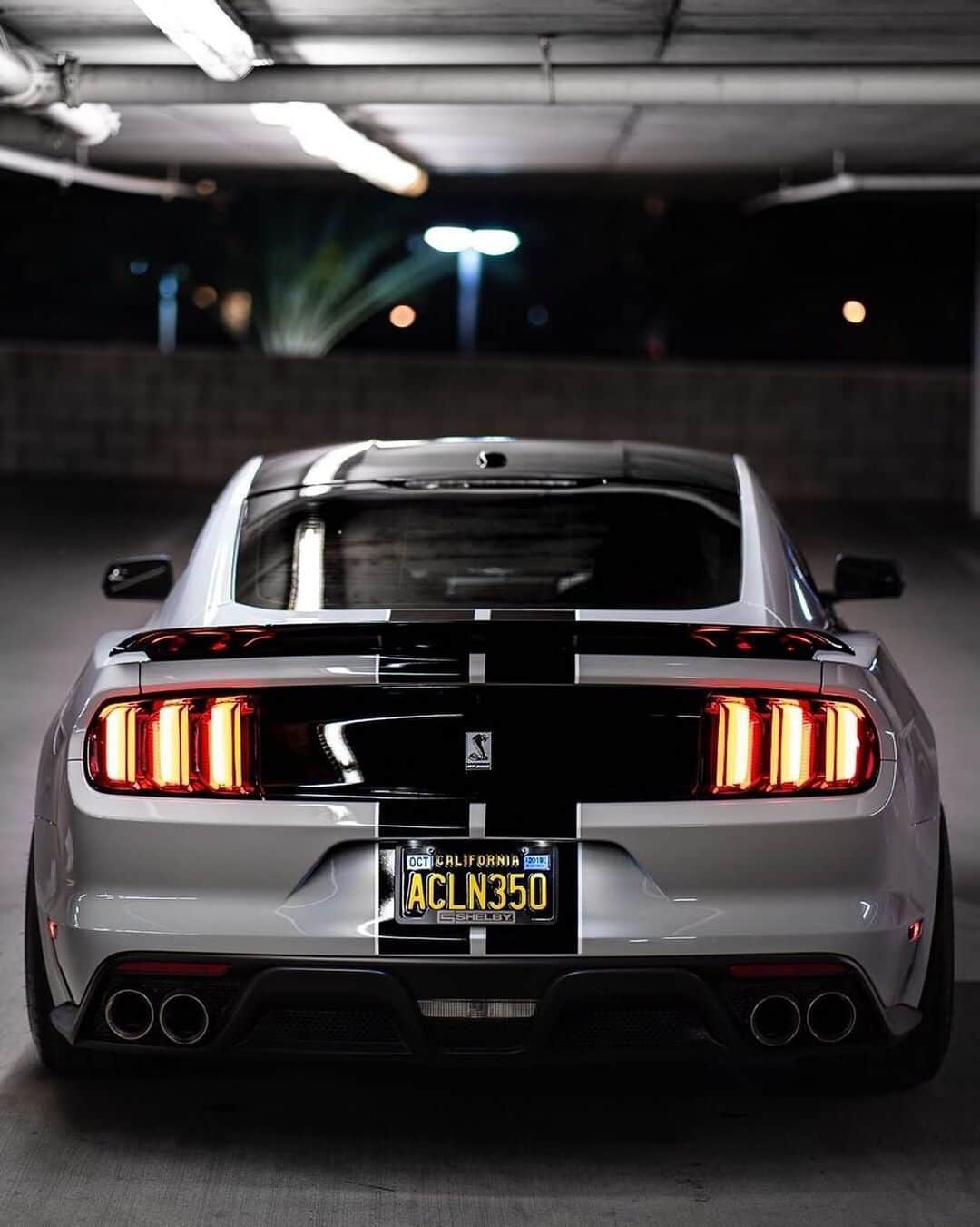 CarsWithoutLimitsさんのインスタグラム写真 - (CarsWithoutLimitsInstagram)「Who else loves @aclean350’s 2017 #GT350 in Avalanche Gray Photo @bes.shots #carswithoutlimits」6月6日 10時31分 - carswithoutlimits