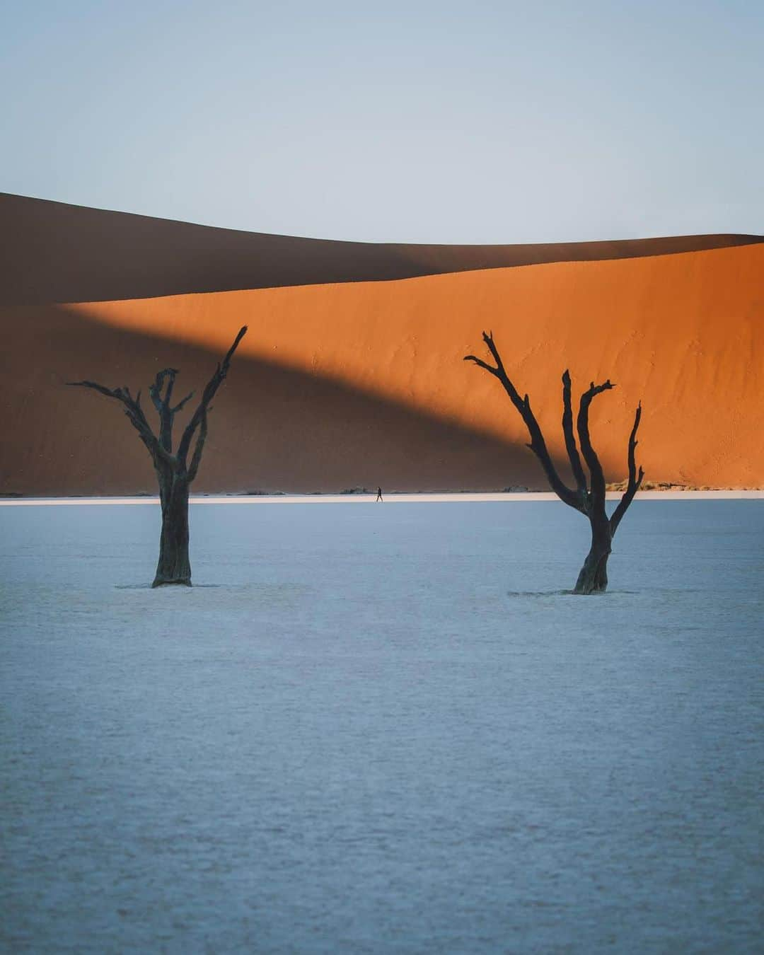 Canon Photographyさんのインスタグラム写真 - (Canon PhotographyInstagram)「@giuligartner // Travelling to the other side of the world to see some dead trees and sand? Well, there has to be something special about Deadvlei that draws countless visitors to this place every single day. Maybe it is the towering red dunes, the shades of red in the first light or the twisted forms against the flat white ground. This place is such a mystery. The short walk in the sand felt very exhausted but it was not the physical exertion that drew my breath away, it was the first sight of Deadvlei. Trees of Deadvlei are more than 900 years old situated in a white clay pan. You are not allowed to touch the trees and you can tell that a few visitor were irresponsible when they visited because of broken branches and multiple “DO NOT TOUCH” signs around the area. If everybody plays their part, this and many other beautiful landscapes around the world will last. Without help and respecting nature, what is will cease to be and we will all be forced to view the trees from rope walkways or even worse, it will only be a memory through photographs. If you plan to visit this place or any other natural beauty, please think twice before you do something irresponsible that harms nature ✨」6月6日 16時00分 - cpcollectives