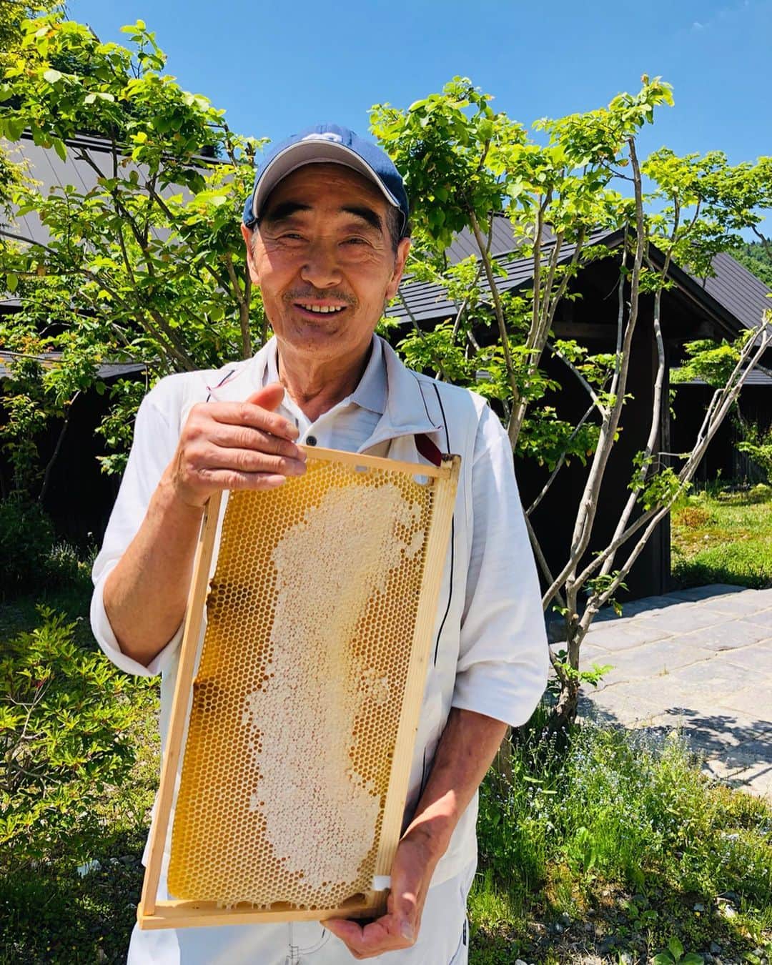 山人のグルメインスタ