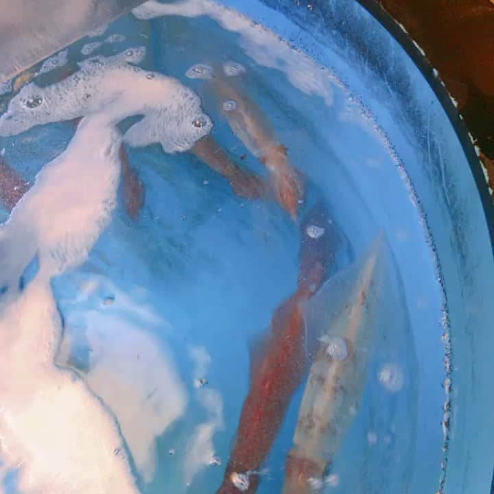 九州うまか　梅田店のグルメインスタ