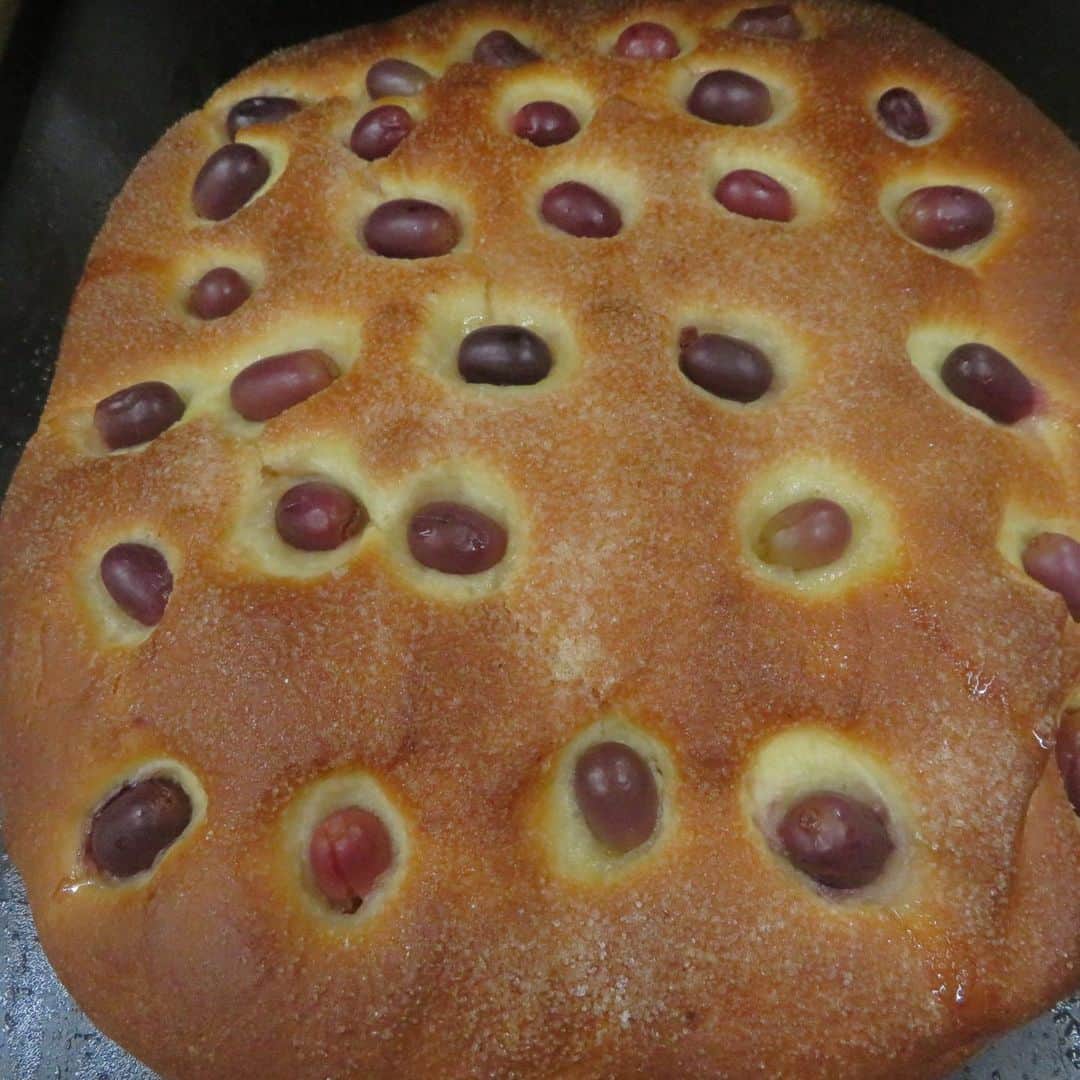 魔女菅原のグルメインスタ