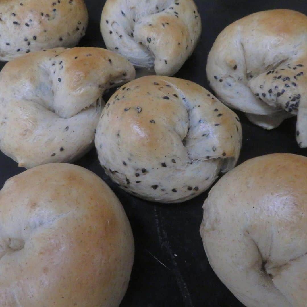 魔女菅原のグルメインスタ