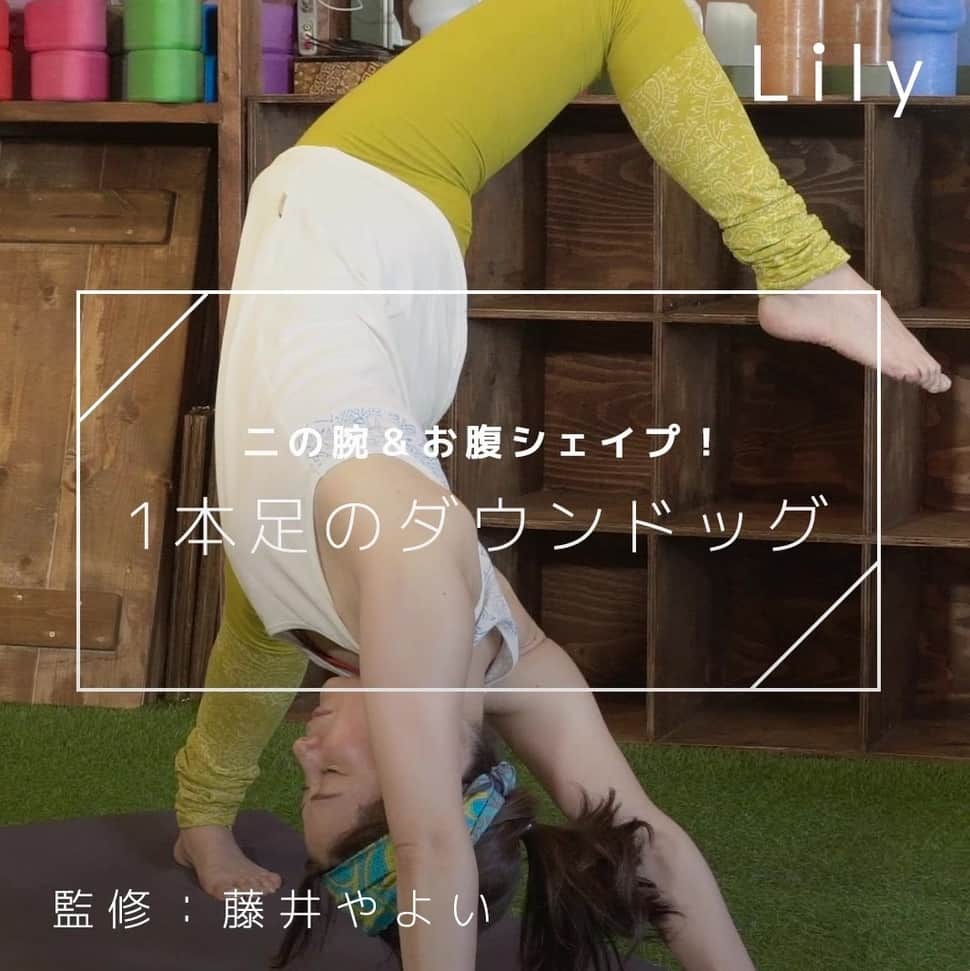 Lilyのインスタグラム
