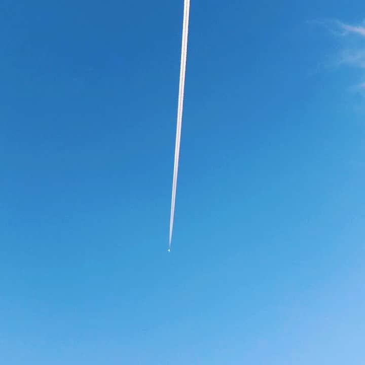 のインスタグラム：「_ 飛行機が飛んでいく」