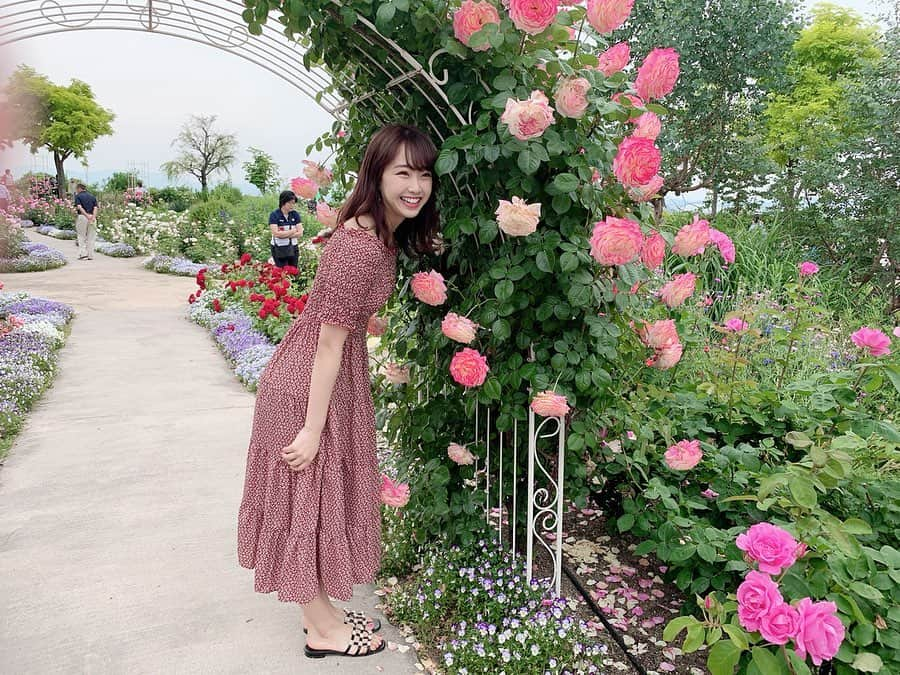 加藤夕夏さんのインスタグラム写真 - (加藤夕夏Instagram)「﻿ ピンクの綺麗な薔薇〜🥺🌹﻿ ﻿ アーチになってるの可愛過ぎた〜🌹﻿ ﻿ 久々の #うーかとデートなう みたいですね☺️💭笑﻿ ﻿ ﻿ ﻿ ﻿ #滋賀﻿ #柳が崎湖畔公園﻿ #イングリッシュガーデン﻿ #花 #Flower #薔薇 #rose﻿ #うかしふく﻿ ﻿」6月6日 12時13分 - uuka_nmb