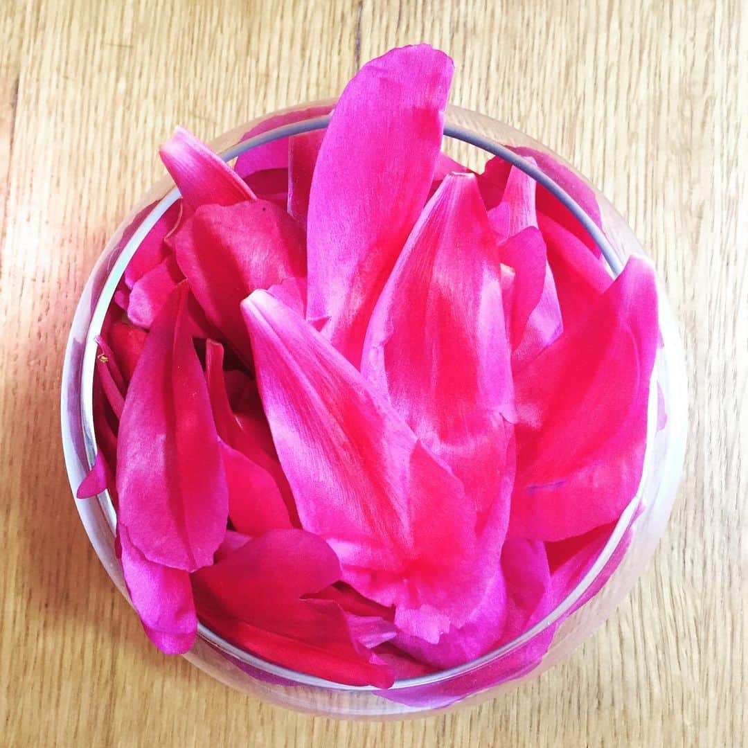 のインスタグラム：「頂いた芍薬 散ってなお綺麗〜✨ #花 #芍薬」