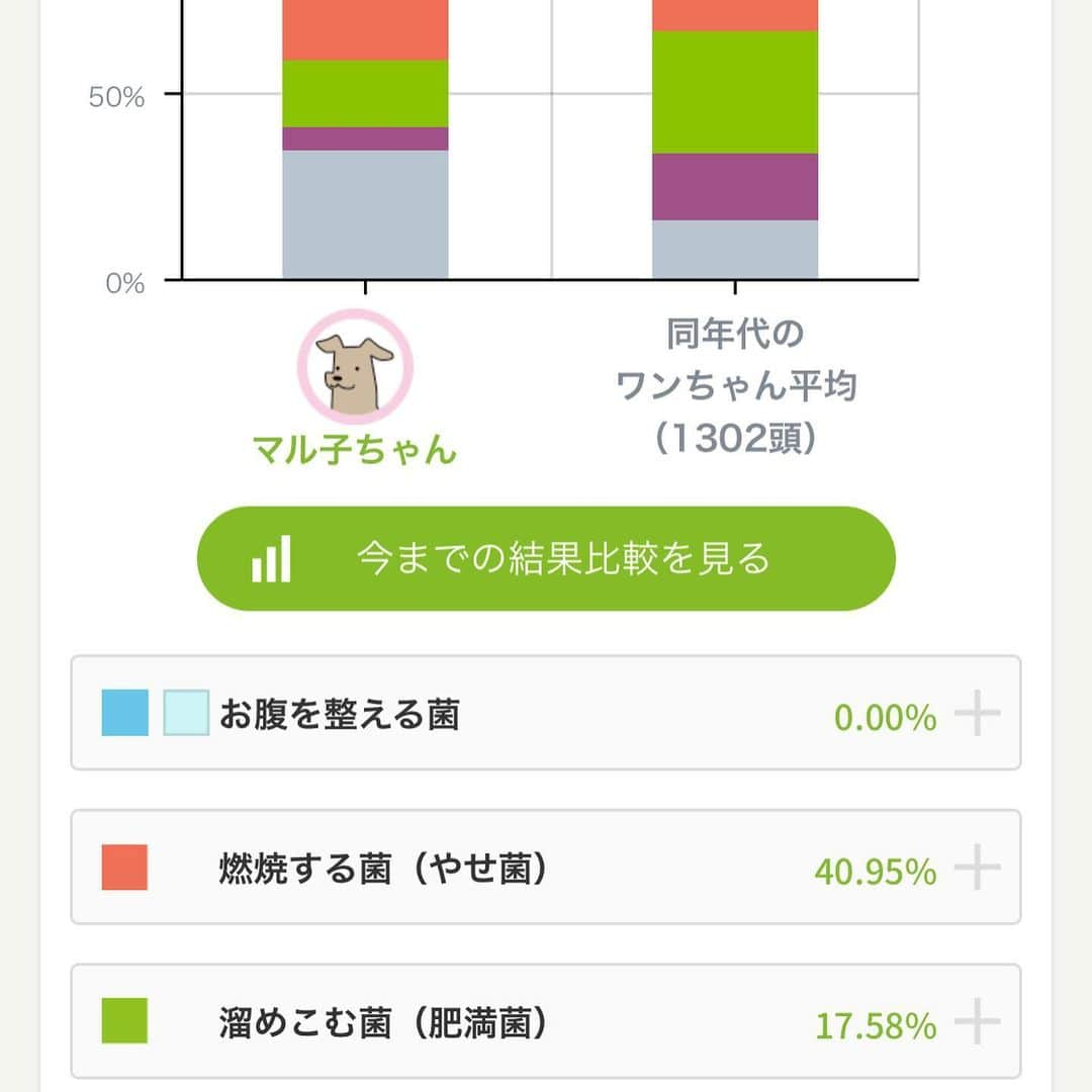 マル子さんのインスタグラム写真 - (マル子Instagram)「マル子の入っている保険会社が腸内環境をみてくれる、というので💩を提出して数ヶ月。 結果が出ました。実際の年齢より若かった！ そして同年代の平均より痩せ菌多いし！ デブ菌少ないし！ これはデブじゃないんだ🤣 ビフィズス菌少なめなのでまたヨーグルト少しずつ食べようね❤️ #マル子 #柴犬 #shiba #けんかつくん」6月6日 12時36分 - tomikago