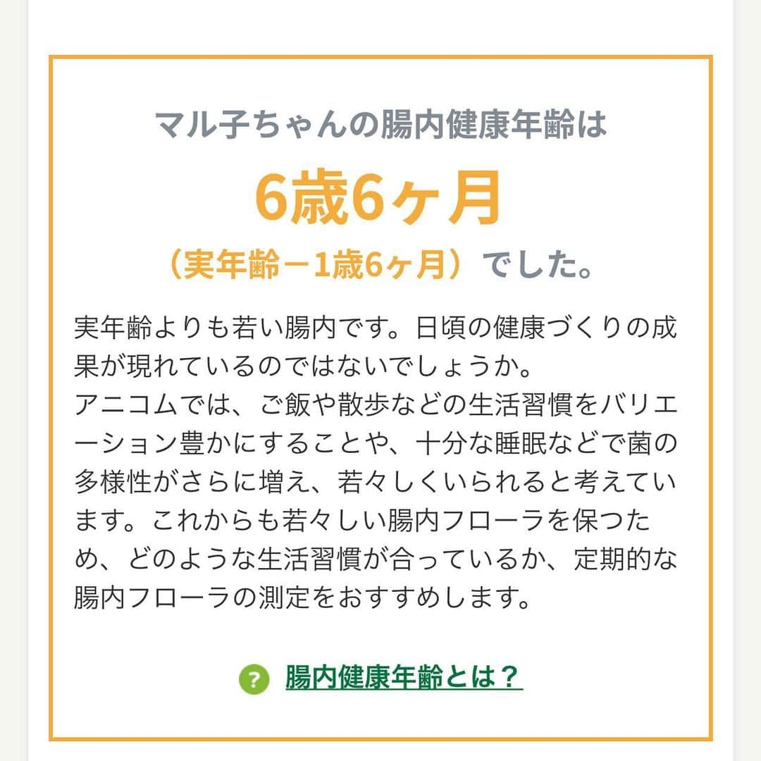 マル子さんのインスタグラム写真 - (マル子Instagram)「マル子の入っている保険会社が腸内環境をみてくれる、というので💩を提出して数ヶ月。 結果が出ました。実際の年齢より若かった！ そして同年代の平均より痩せ菌多いし！ デブ菌少ないし！ これはデブじゃないんだ🤣 ビフィズス菌少なめなのでまたヨーグルト少しずつ食べようね❤️ #マル子 #柴犬 #shiba #けんかつくん」6月6日 12時36分 - tomikago