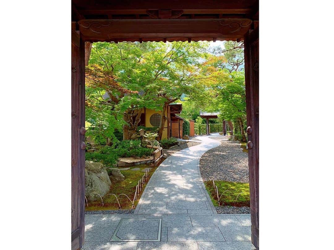 百合華さんのインスタグラム写真 - (百合華Instagram)「京都嵐山の『翠嵐 ラグジュアリーコレクションホテル 京都』にお邪魔してきました🎶﻿ ﻿ 明治期の歴史的建造物をいかしたレストランや嵐山の絶景を眺められるカフェなどが併設されていて、これでもかと言う程日本の優雅さを感じられる伝統とモダンが美しく融合した空間となっておりました✨﻿ ﻿ 大きな松の木や苔の芝などのお手入れがきちんと行き届いており、そこから見る保津川の景色はまさに風光明媚で素晴らしかったです🥰﻿ ﻿ #京都 ﻿ #嵐山 ﻿ #保津川 ﻿ #翠嵐 ﻿ #ラグジュアリーコレクションホテル京都 ﻿ #歴史的建造物 ﻿ #レストラン﻿ #松の木﻿ #苔の芝﻿ #庭 ﻿ #絶景﻿ #カフェ﻿ #伝統﻿ #モダン﻿ #風光明媚」6月6日 13時29分 - yurika.lovelily