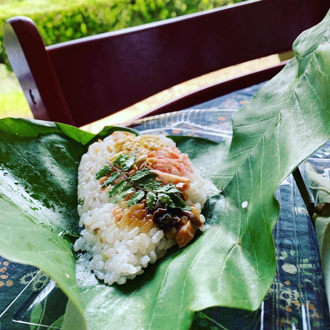 都竹悦子さんのインスタグラム写真 - (都竹悦子Instagram)「飛騨に初夏を告げる風物詩、朴葉寿司。 下呂市に長く住んでいた叔母が作って持ってきてくれた。  朴の木の葉に、寿司を包む。 鱒マスは、 下呂では生を一晩漬けたものを用い、 高山では焼く煮るなど火を通す、という違いがあるのだとか。  #飛騨のご馳走 #ごっつぉ #朴葉寿司 #初夏の風物詩 #飛騨 #食 #ありがとう」6月6日 13時53分 - etsukotsuzuku