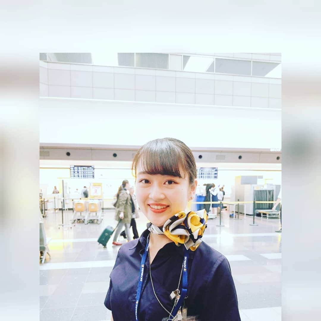 東京観光専門学校さんのインスタグラム写真 - (東京観光専門学校Instagram)「エアラインサービス学科です🛫 今回は羽田空港でカツヤクしている 卒業生を紹介します。 ✈️業務内容は🎤？ 『チェックインや荷物預かりのカウンター業務、搭乗口でのGATE業務、到着ロビーをはじめとする、空港内の様々な所で働いています』 ✈️やりがいを感じるときは🎤？ 『毎日多くのお客様と接する機会があるので、 少し困っていそうなお客様や体調がすぐれなさそうなお客様をいち早く察し、最善の案内をできるよう心がけています。その上で、親切にしていただいてありがとうというお声を頂いたときはやりがいを感じます。』 とのこと。 きっと夢を実現し、充実しているんですね。 笑顔が輝いていました✨  皆さんも、この卒業生のようにTOKANで夢を叶えませんか？✈️ ぜひ、TOKANの授業を体験してみてください！おまちしてます😊  #エアライン#エアライン就職#グランドスタッフ#体験講座#オープンキャンパス#高校生進学#航空業界#英語を使う仕事」6月7日 0時02分 - tokan_1967