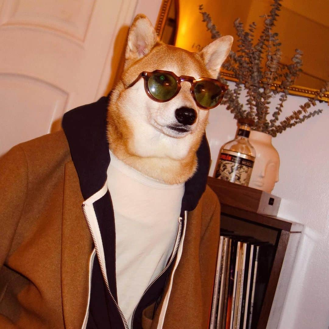 Menswear Dogさんのインスタグラム写真 - (Menswear DogInstagram)「Guess his occupation 👀  1. Brooklyn-based Designer 2. Indie Musician  3. Film Director 4. Professional Good Boy (added by popular demand)」6月7日 0時54分 - mensweardog