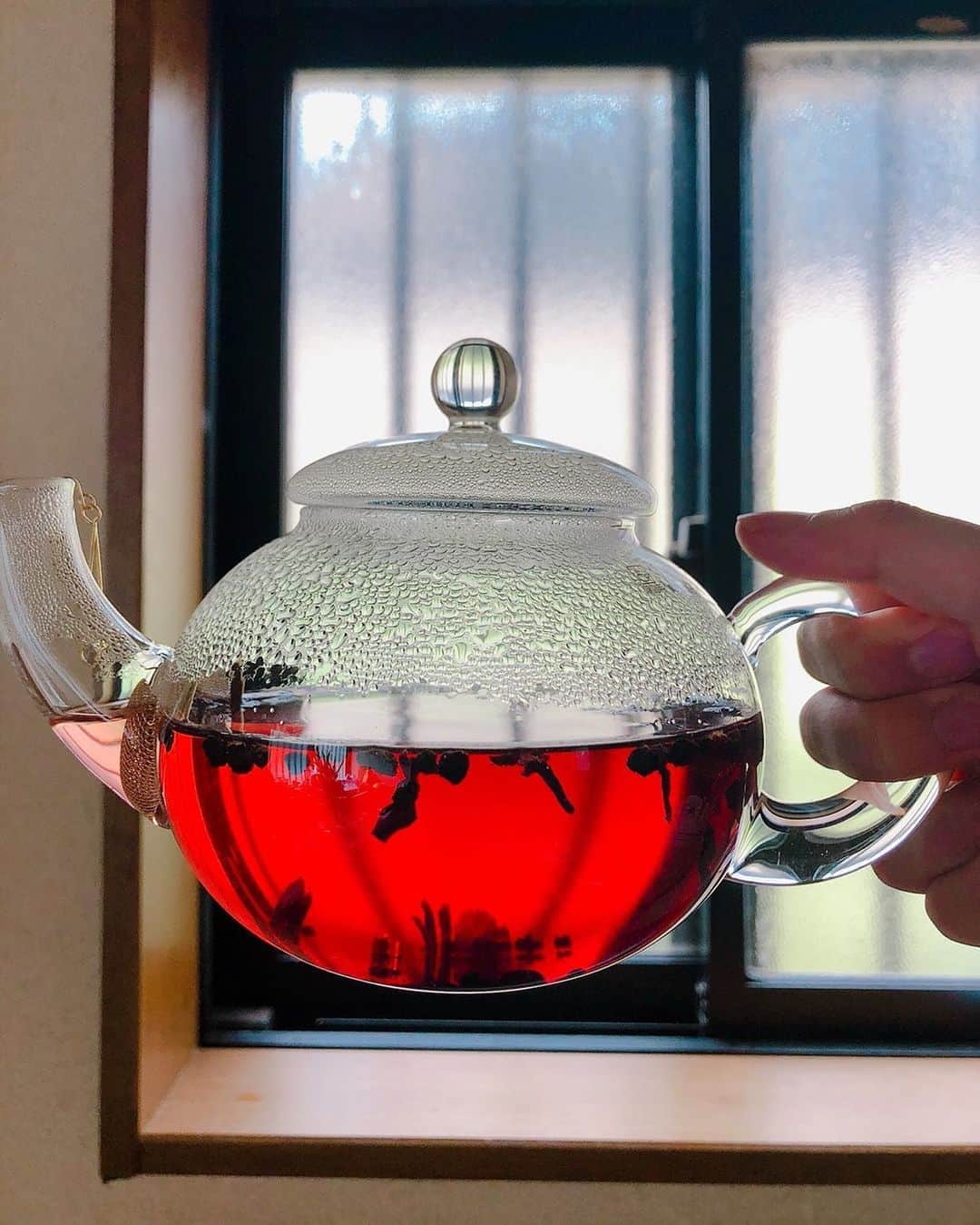 志村玲於さんのインスタグラム写真 - (志村玲於Instagram)「ホルシュタイナー・グリュッツェ ニワトコの実やハイビスカスなどをブレンドしたハーブティーで、かなり酸味が強い。 ビタミンCなどが豊富に含まれてるのでこれからの夏にオススメです！酸味は砂糖で緩和できるのでお好みで調節を。 #紅茶 #紅茶好き #紅茶Butler #Ronnefeldt #新しくteaポット買った」6月6日 16時28分 - reoshimura0129