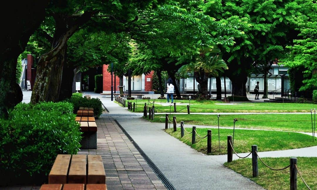 立教大学のグルメインスタ